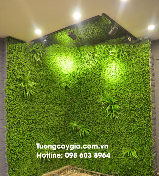 tuong-co-diem-cay-555x615